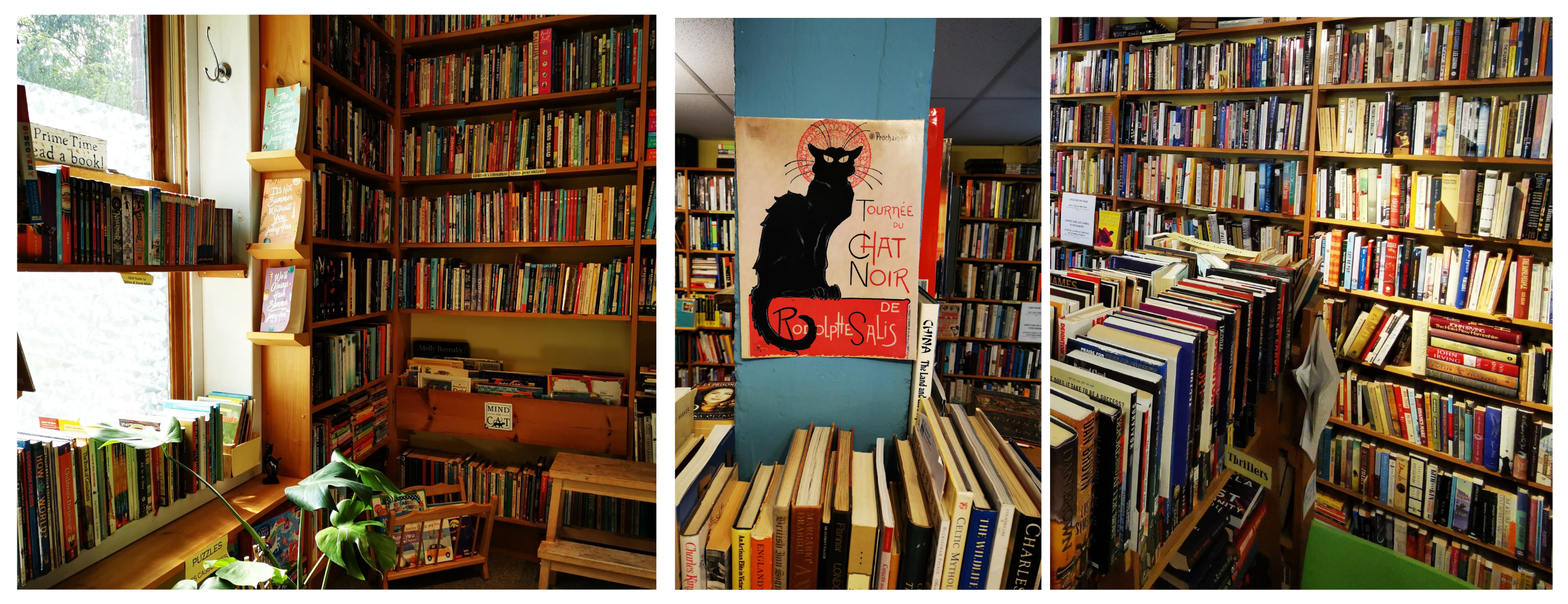 Photos of the interior of Black Cat Books including books and the inside of the store window.